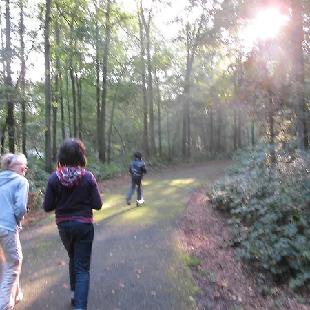 Zuidwege 3* Zedelgem